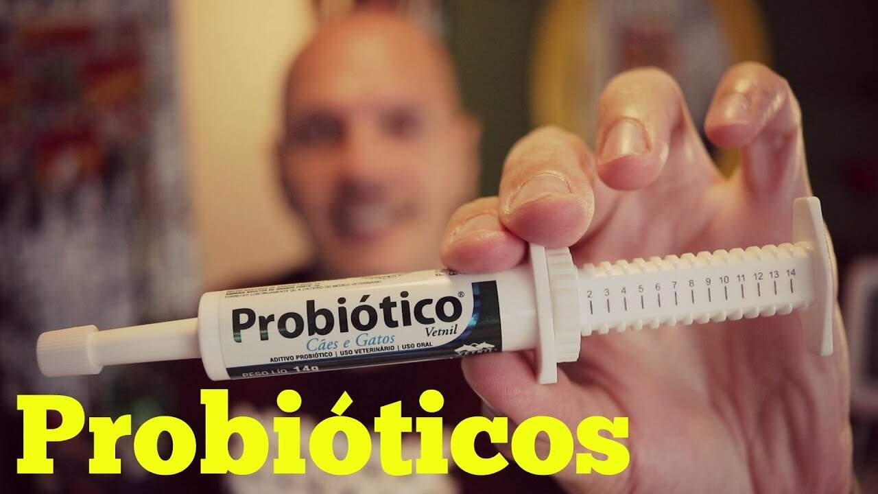 Probiotico pet
